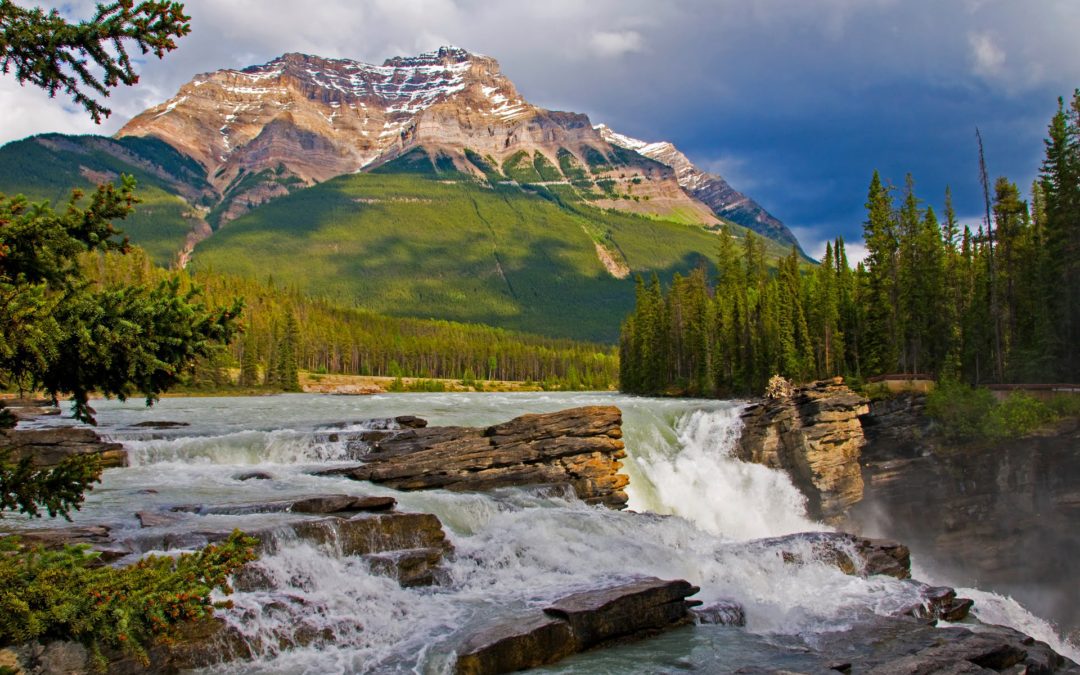 Scoprire il Canada selvaggio