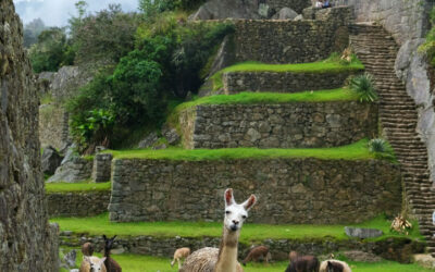 Perù: fra tradizione e luoghi magici